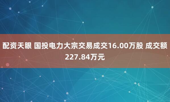 配资天眼 国投电力大宗交易成交16.00万股 成交额227.84万元