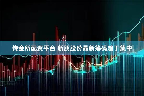 传金所配资平台 新朋股份最新筹码趋于集中