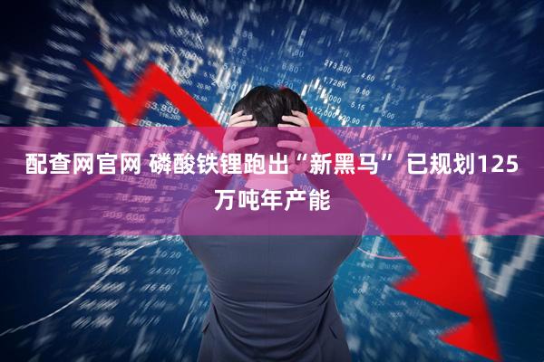 配查网官网 磷酸铁锂跑出“新黑马” 已规划125万吨年产能