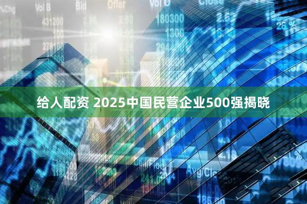 给人配资 2025中国民营企业500强揭晓